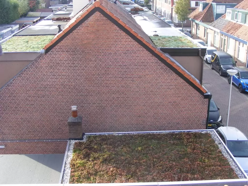 Groen dak Utrecht